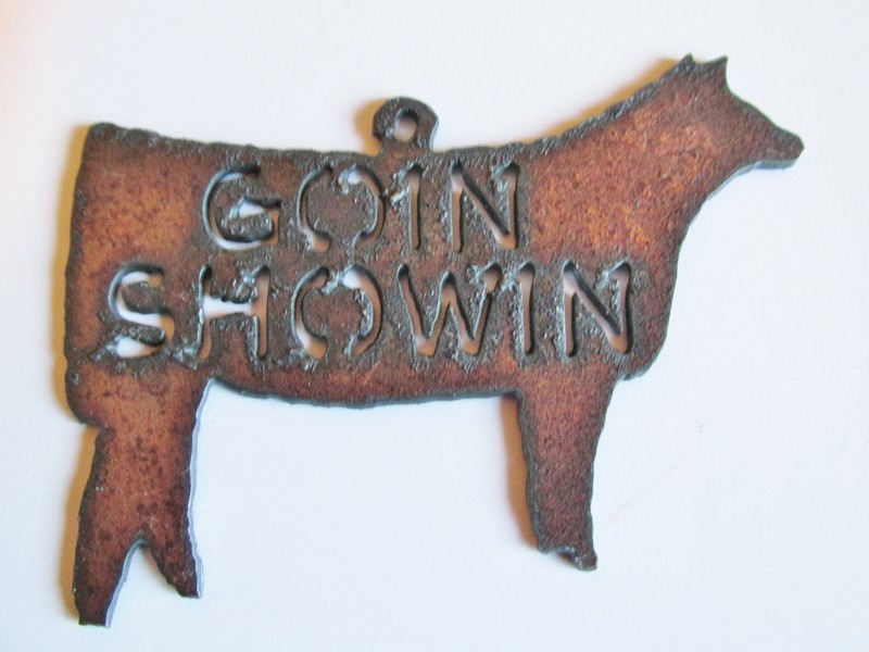 (image for) Goin showing - show Heifer #ORN-BY016-B